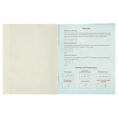 Subject Calligrata "Black-White", 48 sheets in a cell of physics, with reference material, covered paper cover, block No. 2, whiteness 75% (gray sheets)-2