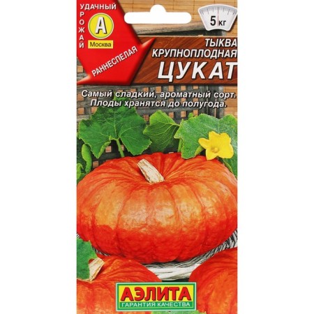 Large -fruited pumpkin seeds "tsutkat", c/p, 1 g