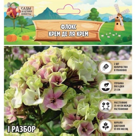 Flox "Cream de la Cream" rr I, 2 pcs,-1