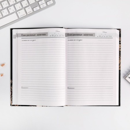 Diary of the Teacher "Golden Teacher", A5 format, solid cover cardboard 7BC, 160 sheets-11