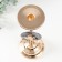 Summary metal per 1 candle d = 2.2 cm "Dragonfly" gold 11.5x11.5x29 cm