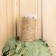A broom for a bath oak with herbs, in a bag with a zipper