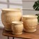 Set of pots 3pcs. "Meander" beige 10l, 3l, 1.2l