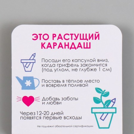 Growing gift pencils Mini "Lavender"-2