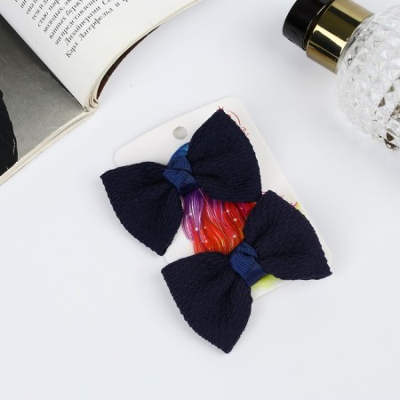 Hair clip "Schoolgirl" (set 2 pcs) texture, 6 cm, blue-2
