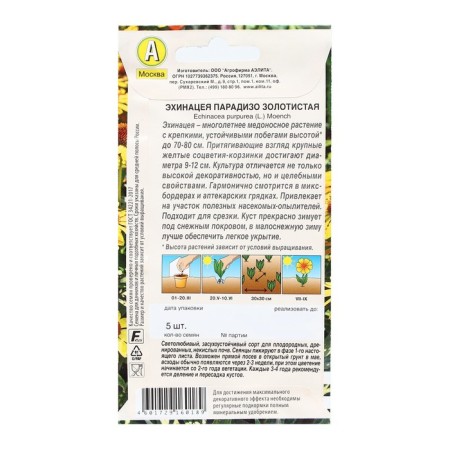 Echinacea Flows "Paradiso Golden", 5 pcs-1