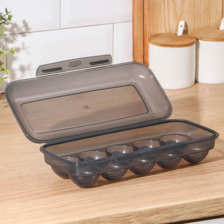 Container for eggs for 10 pcs, color mix-1