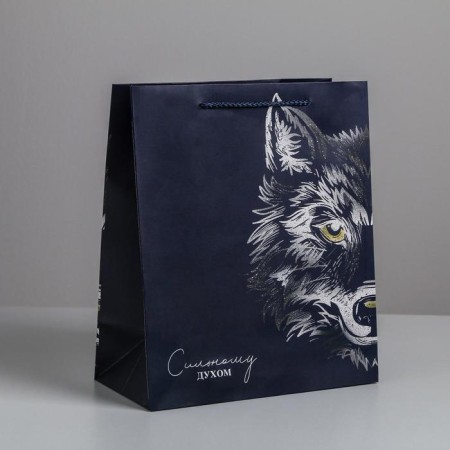 Package Gift Laminated Vertical, packaging, “strong spirit”, ml 23 x 27 x 11.5 cm-1