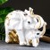 Pigger "Elephant with Elephant" Golden, 16x33x25cm Mix
