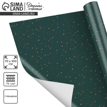 Paper Glossy “Golden Stars”, 70 x 100 cm, New Year