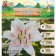 Lilia East Kashpo "Muscadet", rr 12/14, 2 pcs, spring 2024