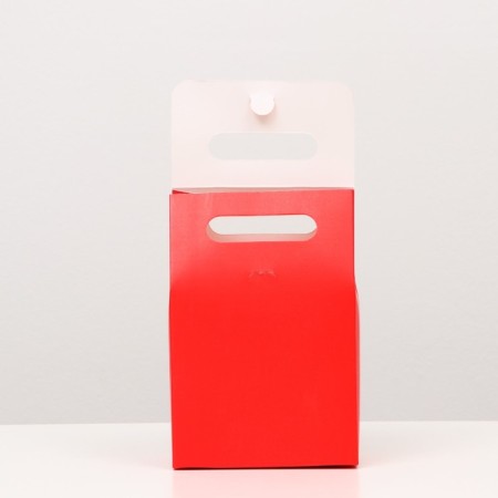 Box package with a pen, red, 19 x 14 x 8 cm-1