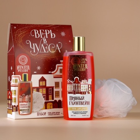 Gift set of cosmetics, shower gel 250 ml and washcloth, Winter Melody by Ural Lab-1