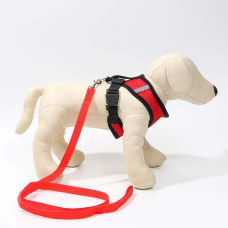 Drinking harness with a leash and reflective patch, s, ok 27, og 30-38, red-6