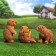 Garden figure "Bear Bear", set of 3pcs, 42x18x24cm
