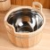 Gang made of linden, 17 l, two -handed, stainless insert