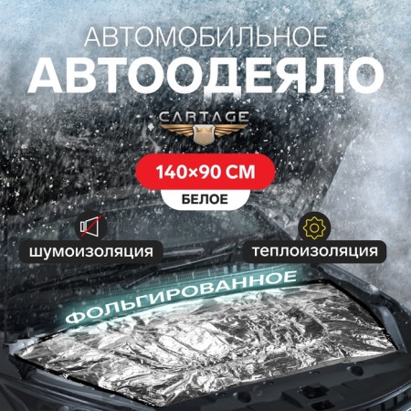 Authorized for the engine Cartage, 140 x 90 cm, foil-4