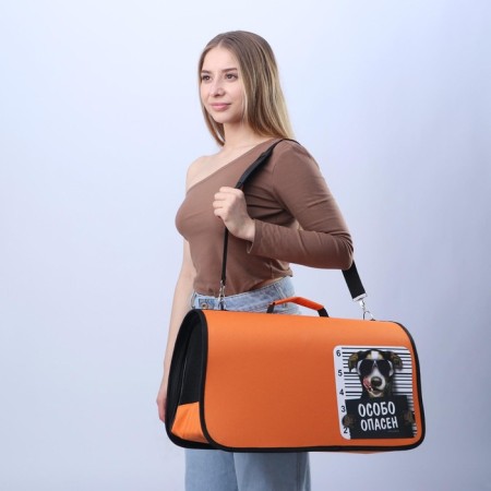 Bag - folding folding, frame "Particularly dangerous" 52x22x29 cm-9