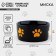 Ceramic bowl "Merry cat", 200 ml, for cats