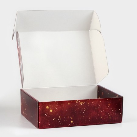 Mail folding box, 30.7 × 22 × 9.5 cm-4