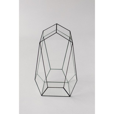 Florarium "Mayak", Sweds Silver-3