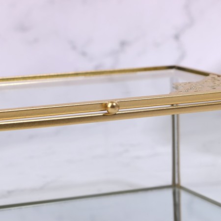 Great organizer for storage, with a lid, glass, with a mirror -bottom, 1 section, 17 × 10.5 × 7 cm, the color is transparent/copper-7