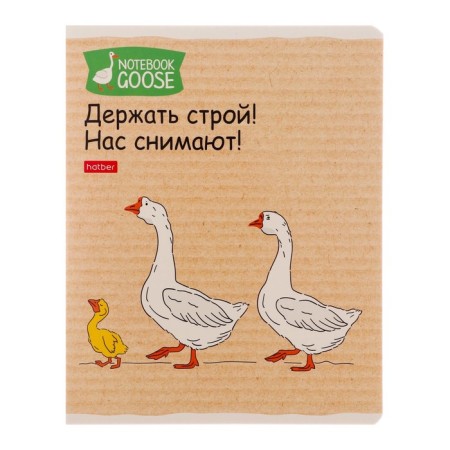Notebook of 48 sheets in the cage "Gus-Sweat I No. 2", cover shaking cardboard, rounded angles, 5V, mix-1
