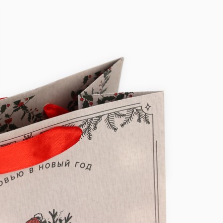 Craft vertical package “Be happy”, MS 18 x 23 x 10 cm, New Year-4
