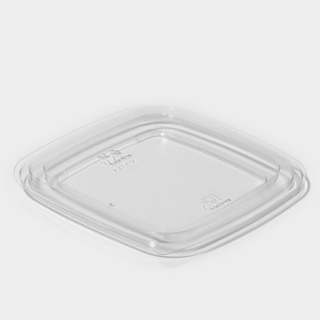 Disposable plastic lid, YUPK-1616, 16 × 16 × 1.38 cm, transparent, 50 pcs/un-4
