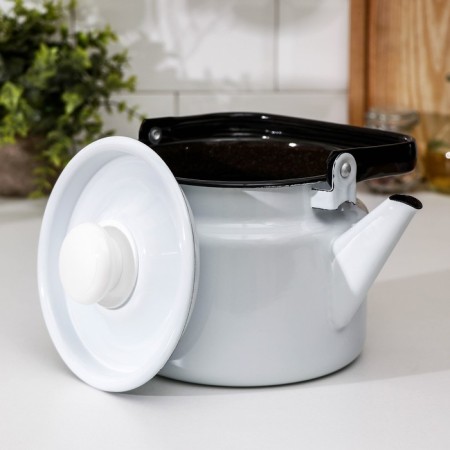 Kettle without decoli, 2 l, induction, white color-1