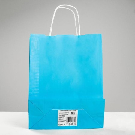 Crafts "Rainbow" Blue, 25 x 11 x 32 cm, twisted handle-1