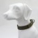The collar of a canvas two-layer, 68 x 3.5 cm, Osh 30-55 cm, dark green