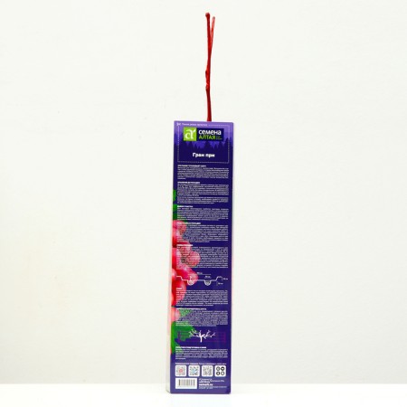 Grandis Grape Sanger Grape, 1 pc, Spring 2024-2