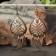 Earrings Amulet "heart knot", brass