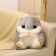 Soft toy "Hamster" with a blanket, 30 cm, gray color