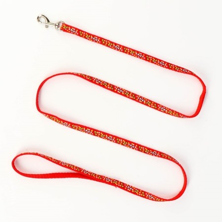 Set "Star Bones", leash 120 x 1 cm, og 23-35 cm, red-5