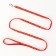 Set "Star Bones", leash 120 x 1 cm, og 23-35 cm, red