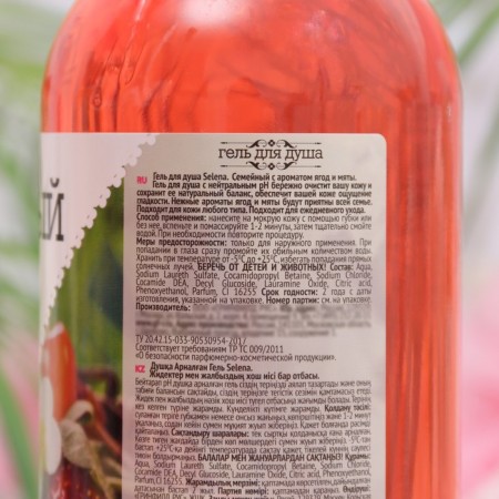 Shower gel "berries, mint" family, 750 ml-1