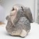 Piggy bank "Rabbit with carrots" 15x13x13cm