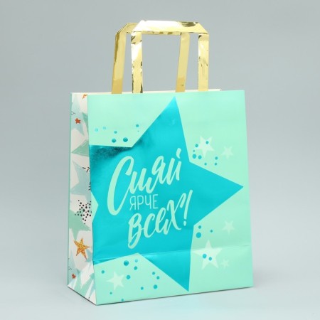 Packaging, gift package, “Shine”, ml 23 x 27 x 11.5 cm-3