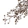 Dry flowers “Molchy Mile”, 25 g, length - 70 cm, white color
