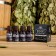 Set "100% man" 4 oils 15 ml