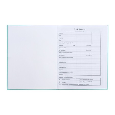 Universal diary for grades 1-11 of "Fragile tenderness", solid cover, glossy lamination, sparkles, 40 sheets-4