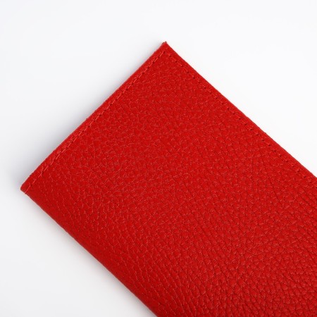 Cover for passport, red color-2