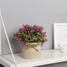 Bonsai in the pot 