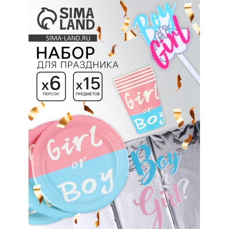 Set of disposable dishes "Gender Pati", 15 items