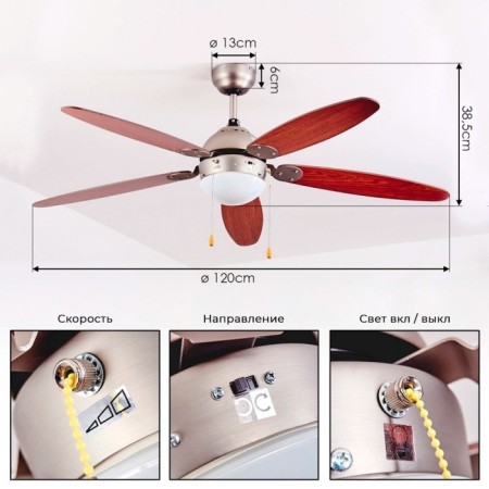Ceiling fan with the lamp SUSALE, E14, 1x60W, steel, nickel, glass, white-3