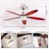 Ceiling fan with the lamp SUSALE, E14, 1x60W, steel, nickel, glass, white