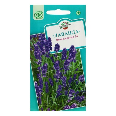 Lavender seeds are narrow -leaved, Voznesenskaya 34, 0.05 g-2