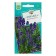 Lavender seeds are narrow -leaved, Voznesenskaya 34, 0.05 g